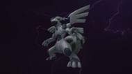 Zekrom (Image via TPC)